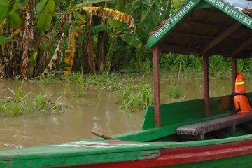 jungle tour iquitos