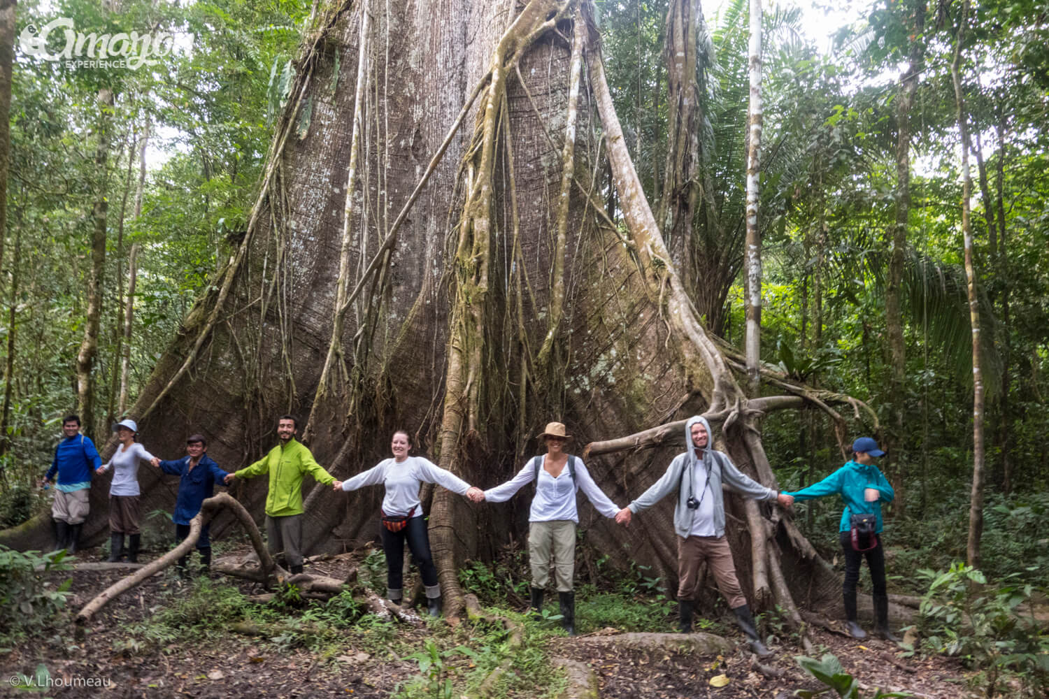 4 Days 3 Nights on Pacaya Samiria National Reserve Amazon Experience Tours in the Amazon River