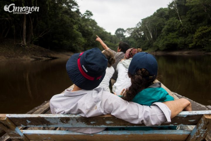 Amazon rainforest tours and expeditions