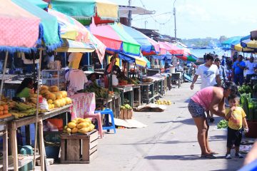 tours en iquitos 2023