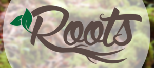 Roots - Rainforest Trust