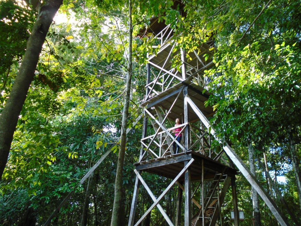 Impressive 3 floor wooden tower in the Amazon jungle