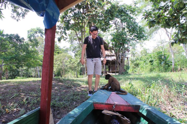 A monkey on the boat