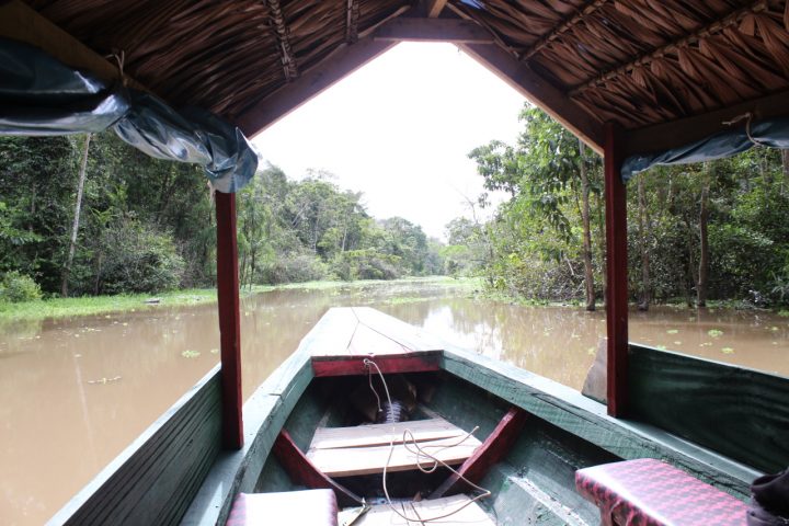 Going deep into the jungle by motorboat