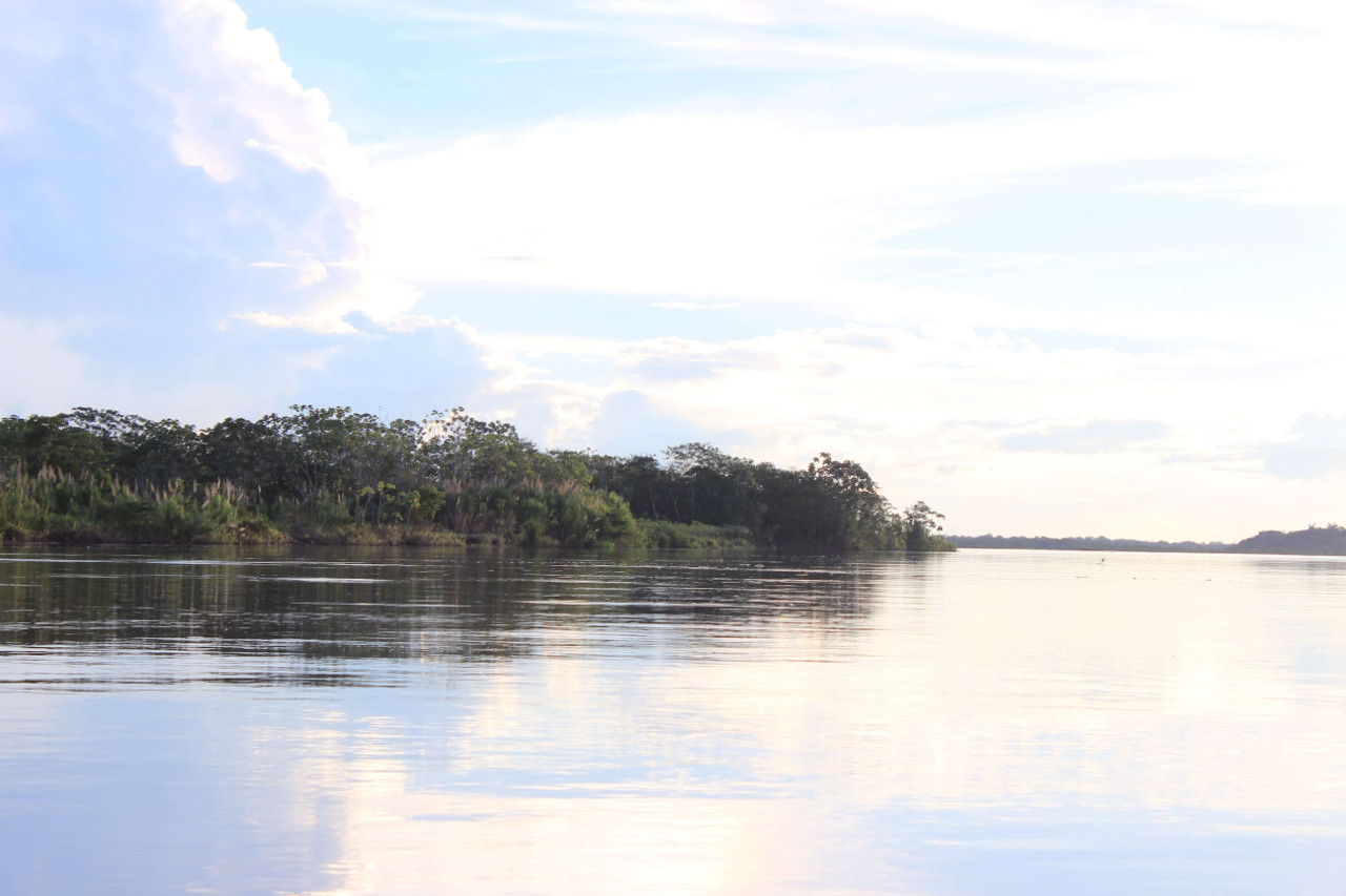 Gallery - Amazon Experience - Tours in the Amazon River