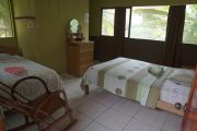 Check out the rooms in the Amazon lodge