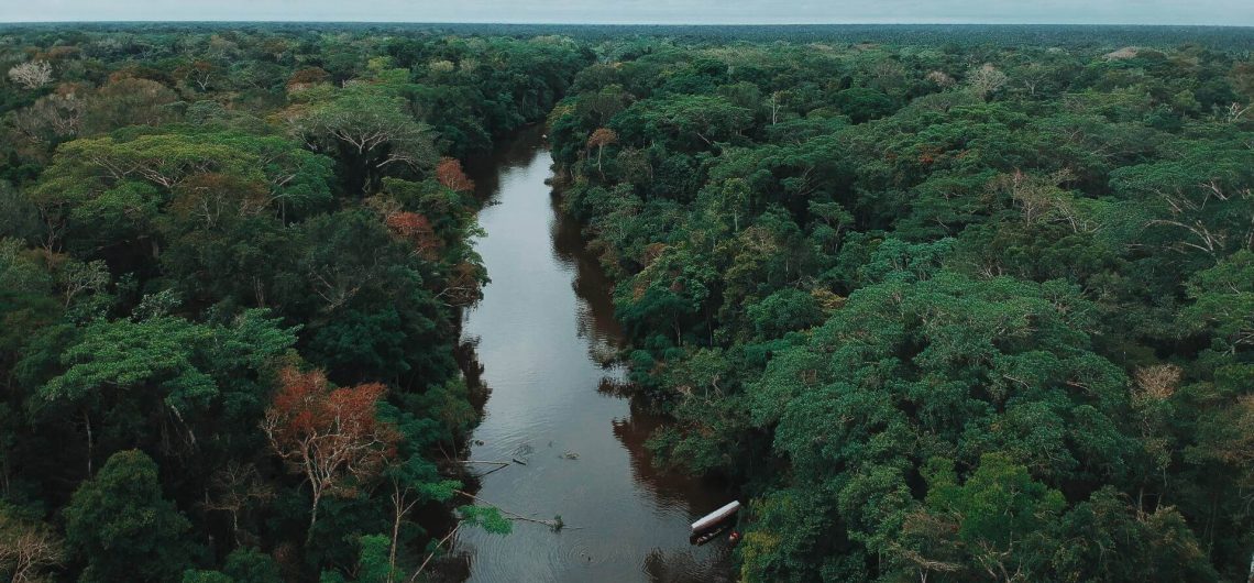 Pacaya Samiria National Reserve from the air