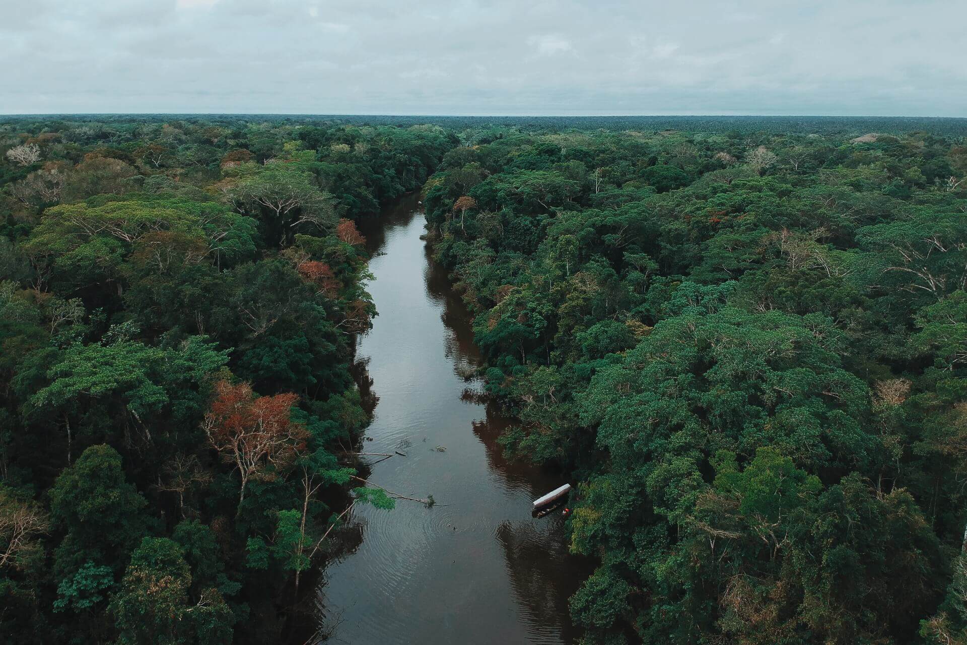 Pacaya Samiria National Reserve Amazon Experience Tours in the Amazon River