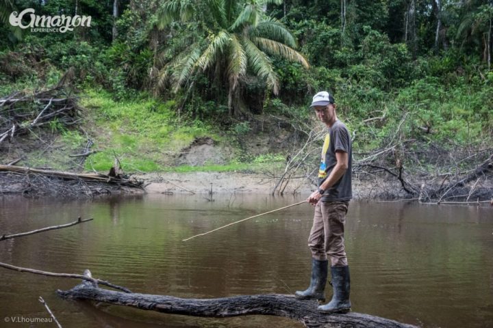 Fishing in the Amazon rainforest