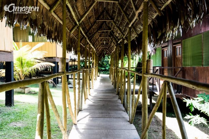 Amazon rainforest lodge