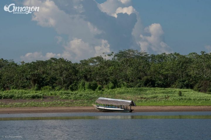 Small boat by the riverside in the Amazon rainforest