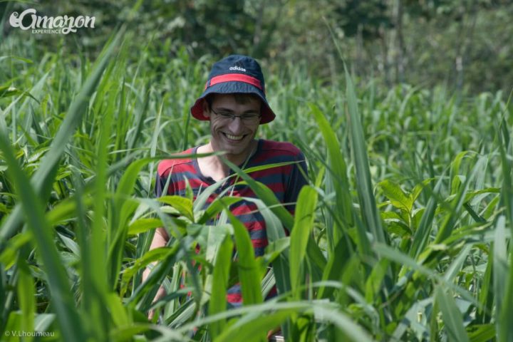 Our friend enjoying the tropical rainforest vegetation