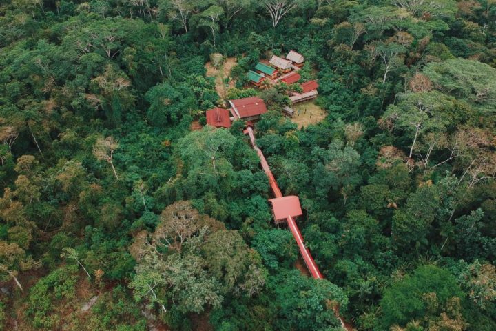 Amazon river lodge in the tropical rainforest