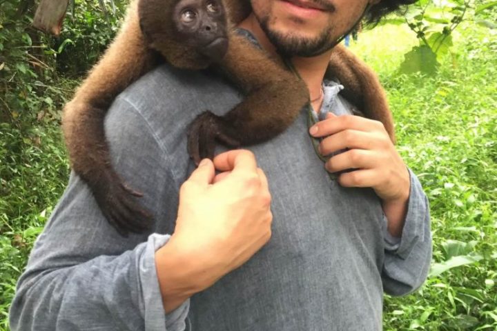 Friendly monkey in the Monkey Island, near Iquitos, Peru