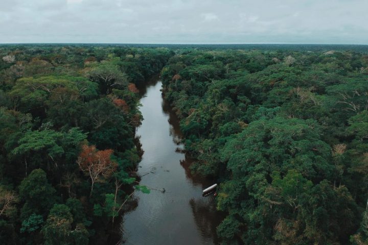 Drone picture of tropical rainforest. Pacaya Samiria reserve.