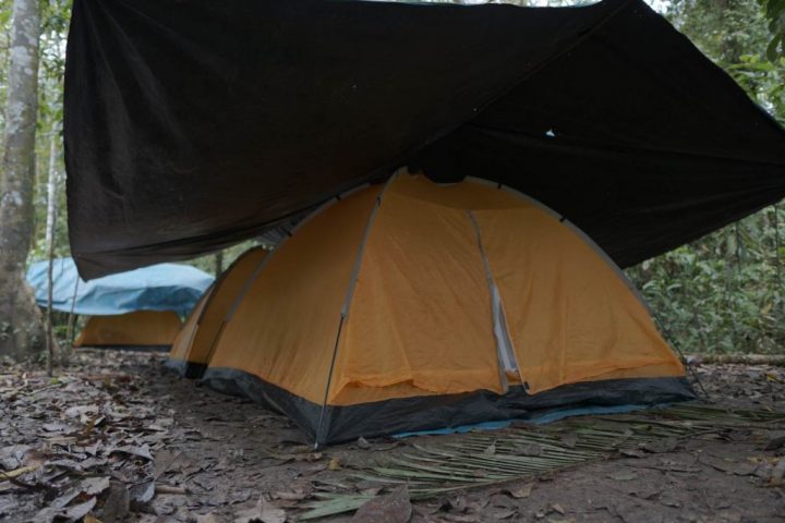 Camping in the Amazon jungle