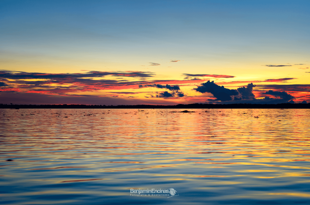 Sunset in the Amazon river