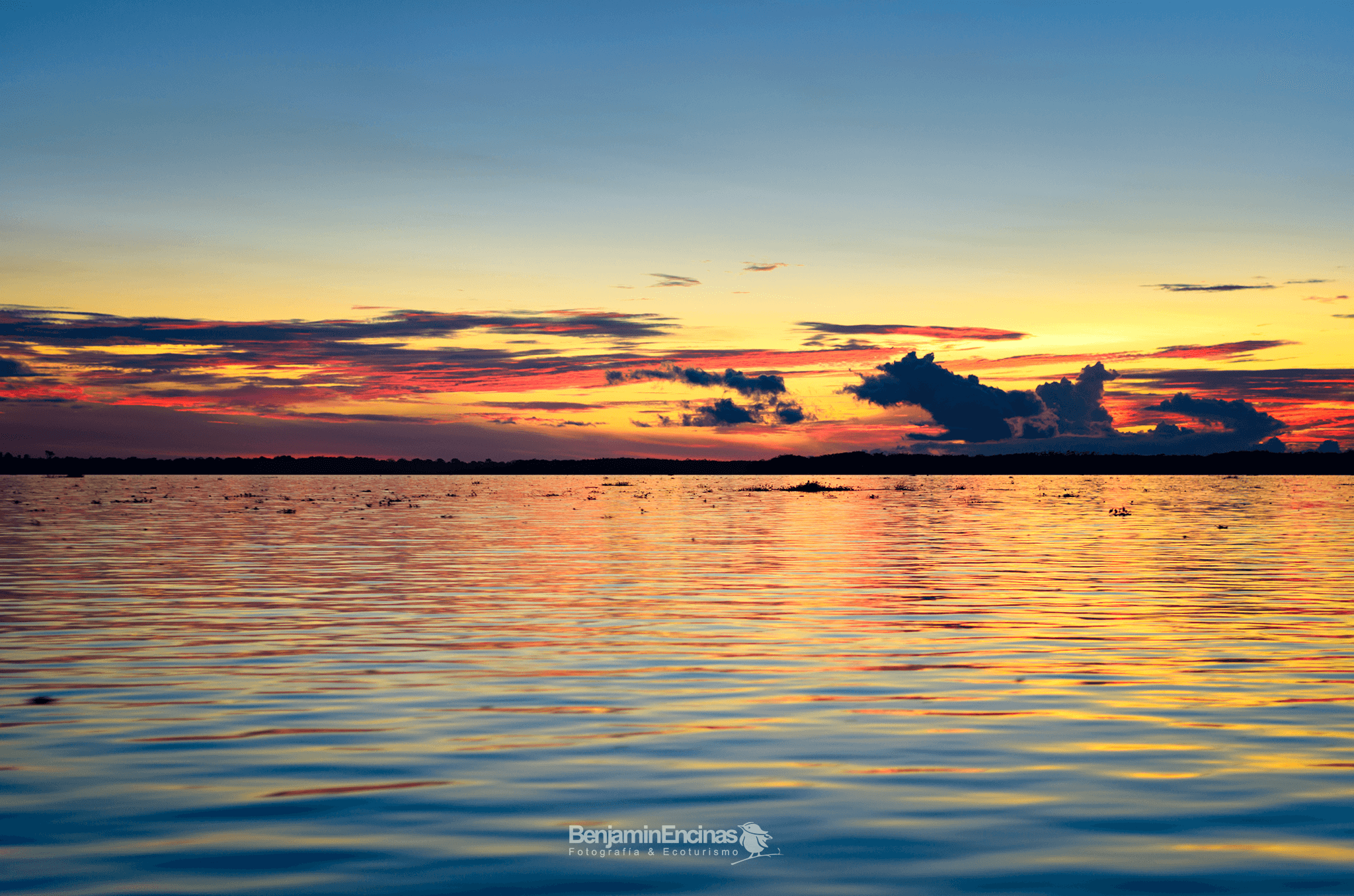 Sunset in the Amazon river