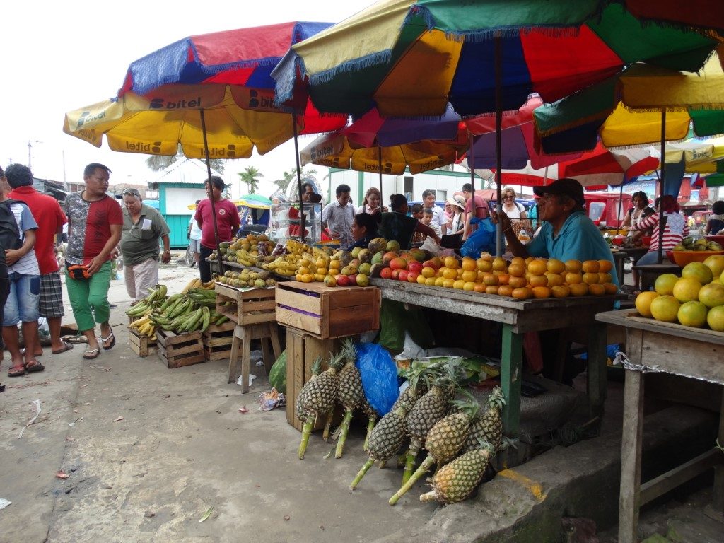 Bellavista Nanay port in Iquitos