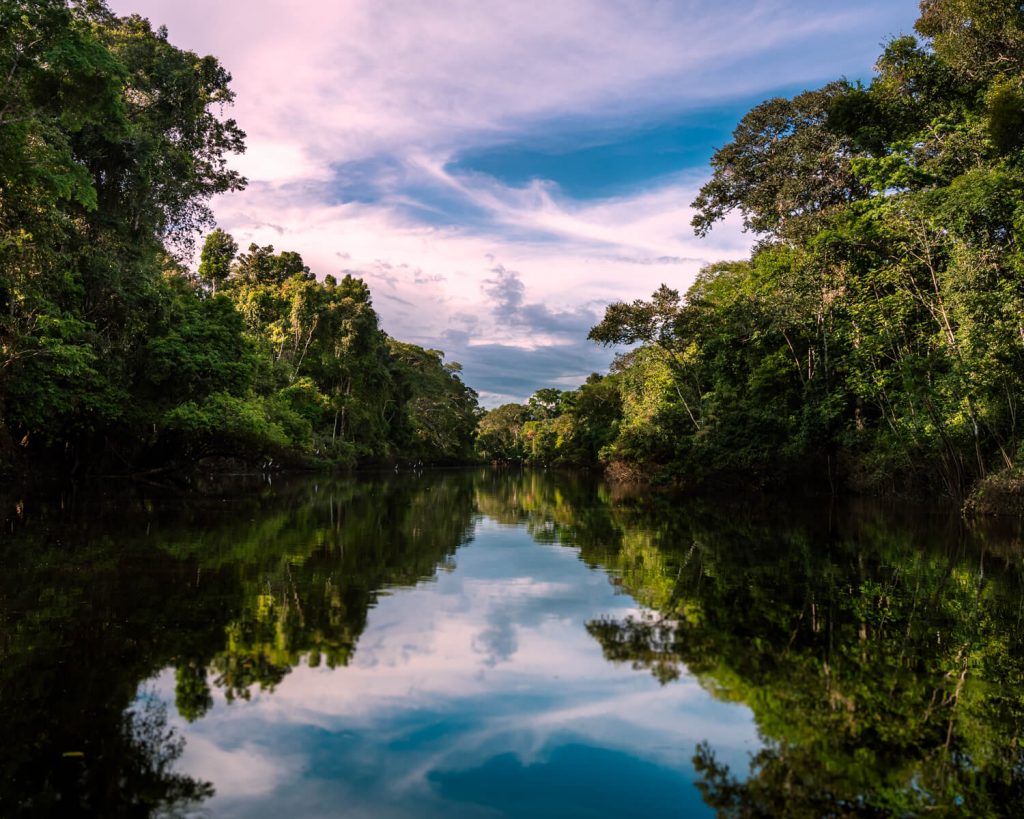 Pacaya Samiria National Reserve is the Jungle of mirrors
